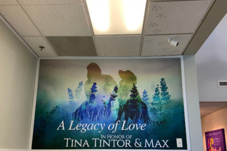 Porodica tragično nastradale Srpkinje donirala novac klinici: U sećanje na poginulu devojku napravljen mural!