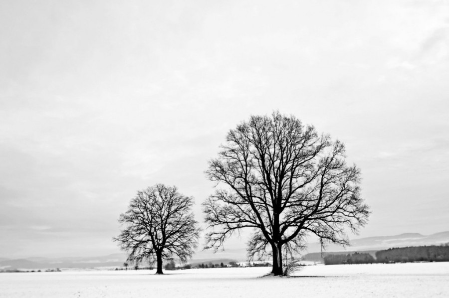Narodna verovanja na Mali Božić: Evo šta se obavezno radi na ovaj dan