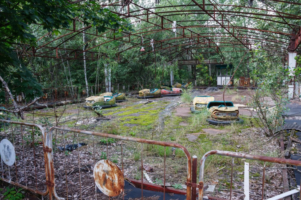 Život posle apokalipse: Mutirane gljive iz Černobilja mogu da spasu ljude?!