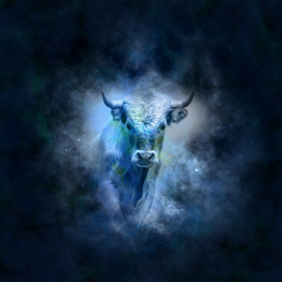 Ljubavni horoskop bik jarac