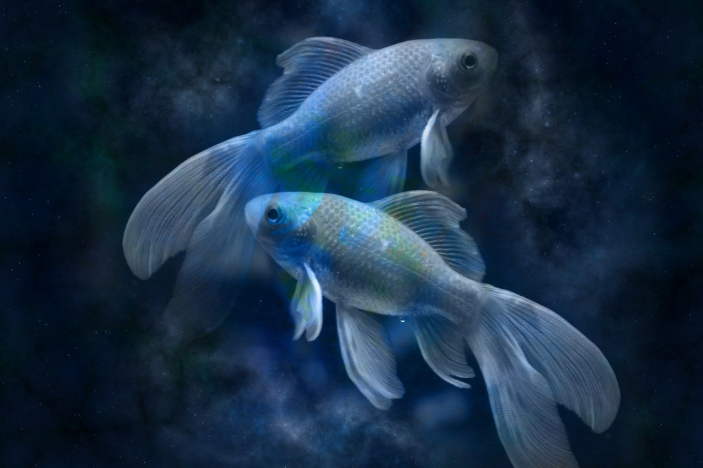 Do 12. oktobra ovim znakovima Zodijaka vraća se bivša ljubav