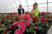 Kad je ljubav neophodan "začin“ u poslu, cvećarstvo postaje unosan biznis (FOTO/VIDEO)