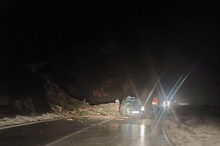 Za dlaku izbegnuta tragedija kod Nove Varoši: Drvo palo na taksi vozilo koje se kretalo magistralom