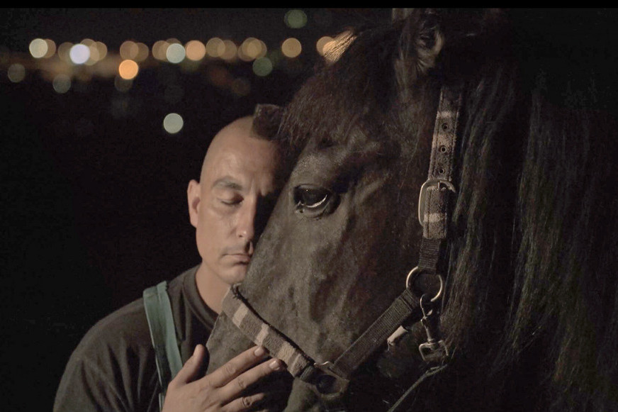Potresan film o jedinom azilu na Balkanu koji se bori za opstanak: Tuga u očima konja od koje srce zaboli (FOTO)