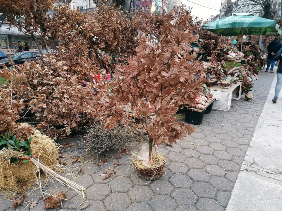 Kada večeras zapalite badnjak, treba da znate šta simbolizuju varnice hrasta, drveta boga Peruna
