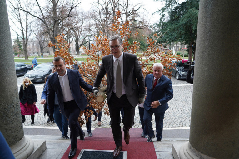 Vučić sa saradnicima uneo badnjak u Predsedništvo (FOTO)