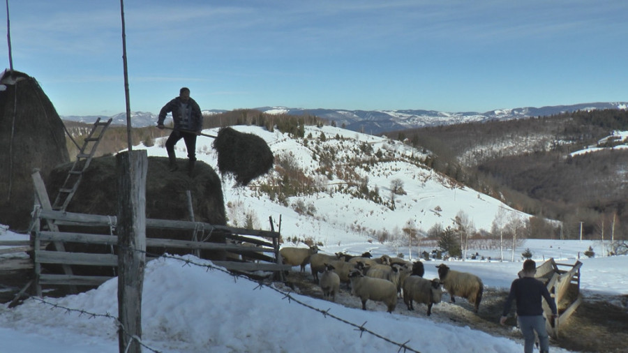 Netaknuta priroda: Tara, idealno mesto za odmor
