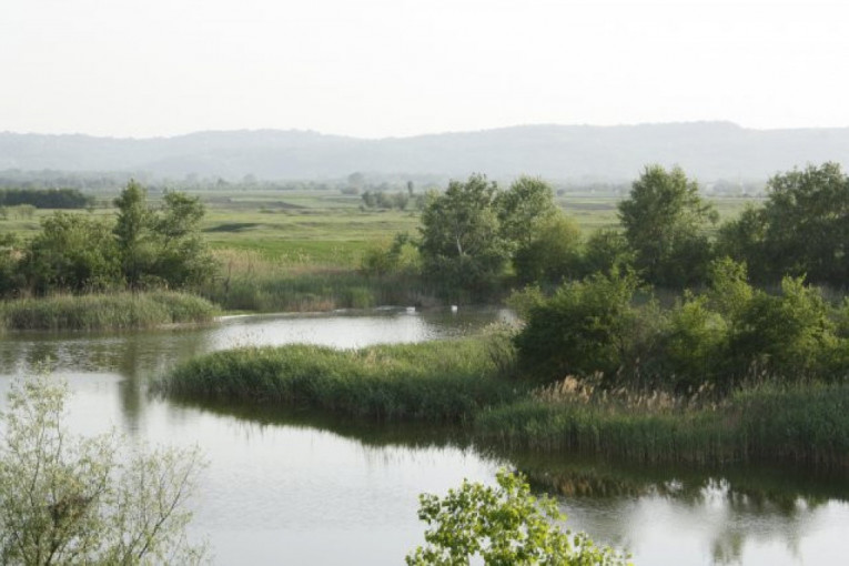 24SEDAM PANČEVO Park prirode "Ponjavica" - zelena oaza na samo 15 kilometara od ovog vojvođanskog grada