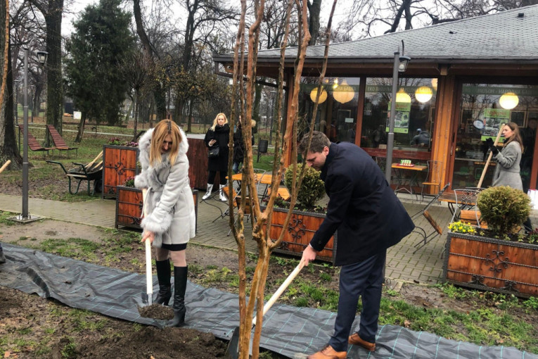 24SEDAM PANČEVO Gradonačelnik Pančeva učestvovao u akciji sadnje drveća u organizaciji Fonda PIO