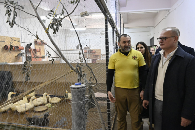 Hrabri spasioci ljubimaca prinuđeni su da prestanu sa radom! Animal Rescue izdao tužno saopštenje, čeka se reakcija Grada