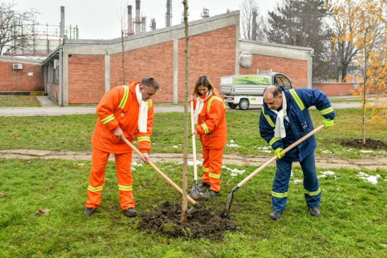 24SEDAM PANČEVO Član Gradskog veća grada Pančeva učestvovao u sadnji drveća u Rafineriji nafte