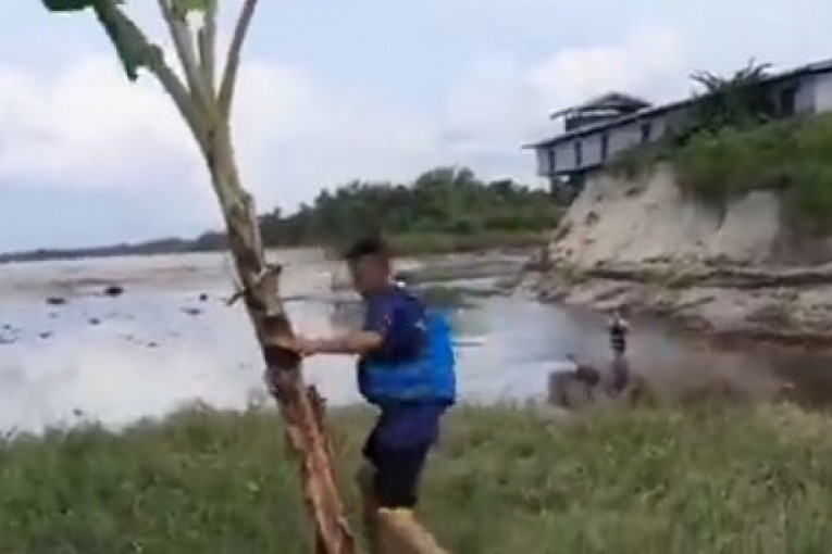 Dok svi beže od cunamija, muškarac boksuje sa palmom: Onda ga je veliki talas zbrisao (VIDEO)