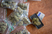 Uhapšeni dileri u Kruševcu: Policija u improvizovanoj sušari pronašla 60 biljaka kanabisa, a u stanu oko 19 kilograma marihuane!