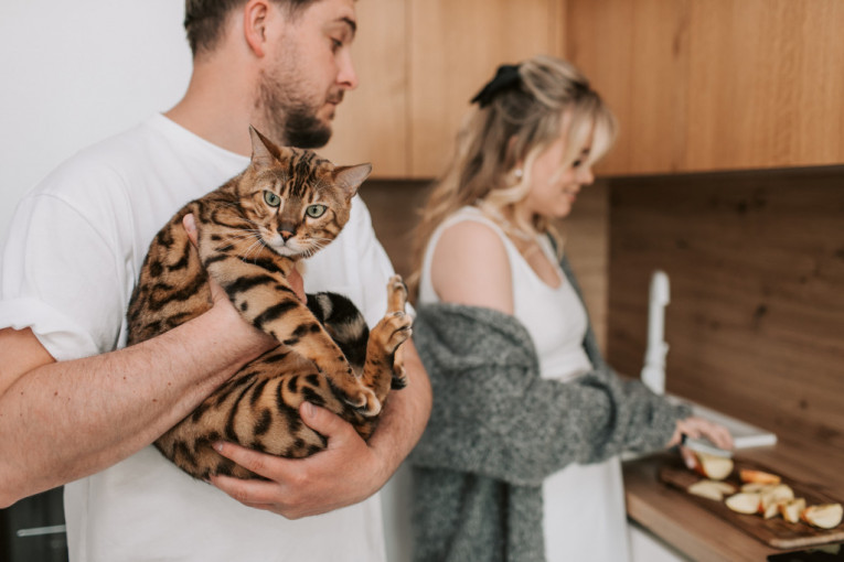 Da li mačke vole svoje vlasnike samo dok ih hrane? Istina će posebno iznenaditi ljubitelje maca