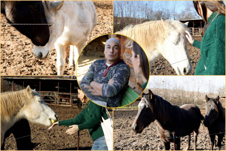Bili smo u jedinom azilu za konje u Srbiji: "Deca nam ne razlikuju psa od koze! Jurimo za parama, a klince obrazuje Jutjub!" (VIDEO)