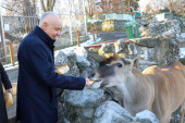 Gradonačelnik posetio beogradski Zoo-vrt: "Planiramo nova ulaganja i otvaranje edukativnog centra za najmlađe"
