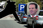 OTKRIVAMO Ko je unuk Bogoljuba Karića koji je izbo komšiju zbog parking-mesta