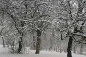 Stižu nam obilne padavine sa juga i udari košave: U regionu napadao sneg i napravio kolaps,  a evo kad se očekuje u Srbiji