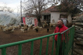 Svi su pobegli iz sela u kom nema puta, vode ni prodavnice, ali on je odlučio da se baš u njega useli i dovede svoje ovce!