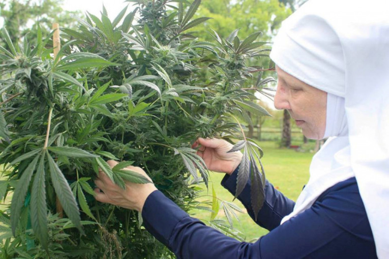 "Časne sestre" koje veruju u marihuanu: Prave tinkture, meleme i medicinske proizvode koje prodaju putem interneta