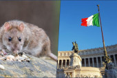Najezda pacova na ulicama Italije: Šokantne ispovesti Srba o životu u ovoj državi! Otkrili šta ih je još zgrozilo! (FOTO)
