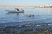 Povređeni kit se pojavio na grčkoj plaži: Ljudi ga spasavali i pevali mu (VIDEO)