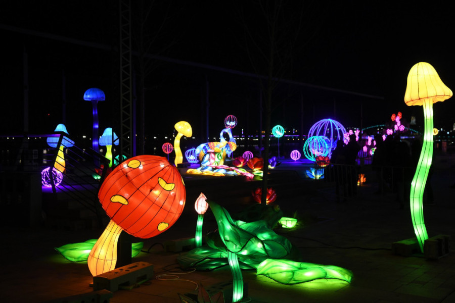 Svetlosna čarolija i ove godine u Beogradu i Novom Sadu: Kineski festival svetla u do sada neviđenom sjaju (FOTO)