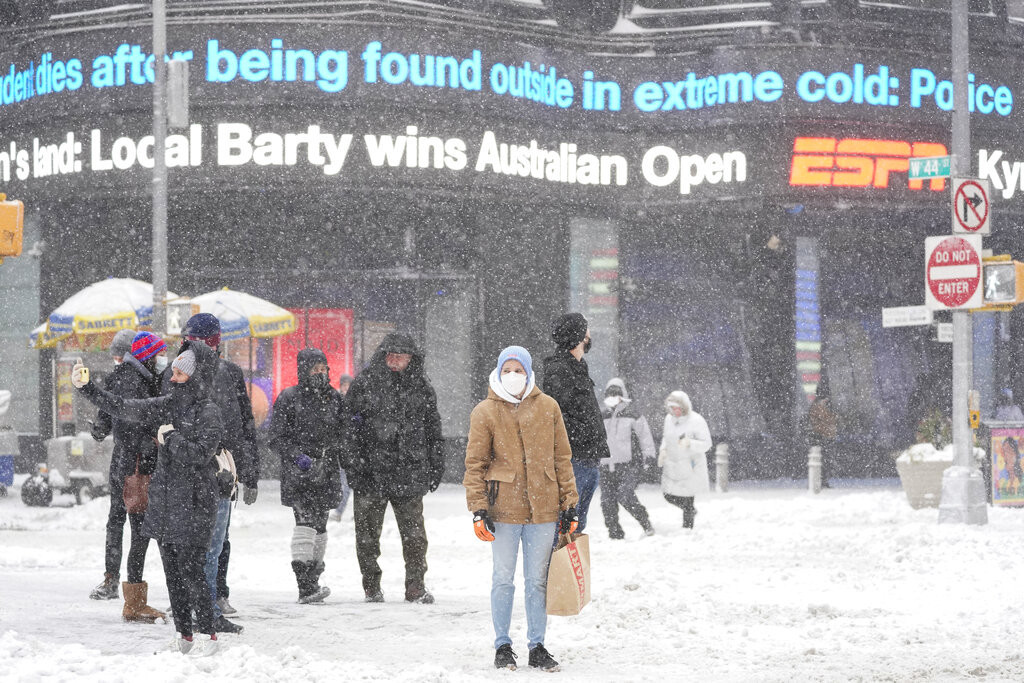 Mećava okovala Ameriku, palo 70 cm snega: Cela istočna obala na udaru, na Floridi iguane padaju mrtve sa drveća! (VIDEO)