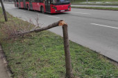 "Zločin prema prirodi": Vandalizam na Novom Beogradu - polomljeno 12 mladih stabala (FOTO)