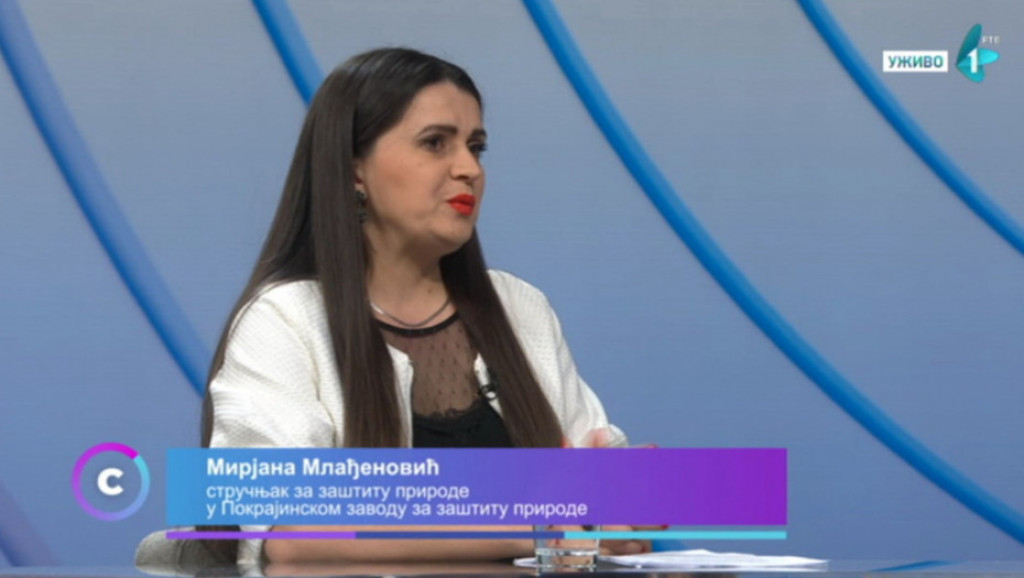 Urbanistički plan Novog Sada: Studija rađena godinu dana od strane 15 inženjera