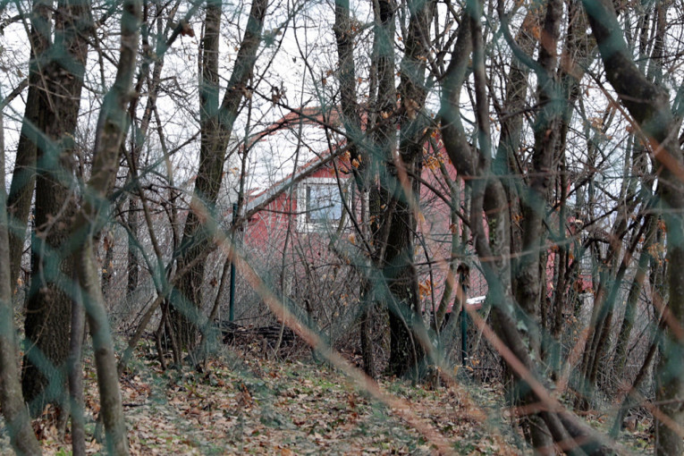 Klali, mučili, ubijali: Godinu dana od hapšenja najsvirepijeg kriminalnog klana u Srbiji! (FOTO/VIDEO)