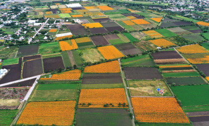 Subvencija od dva miliona dinara: Prijave do petka, evo ko može da konkuriše