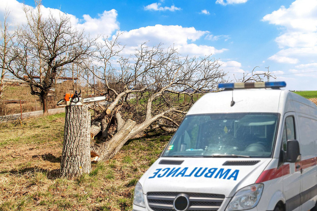 Umalo tragedija u Beogradu: Muškarac pao sa drveta na Savskom nasipu!