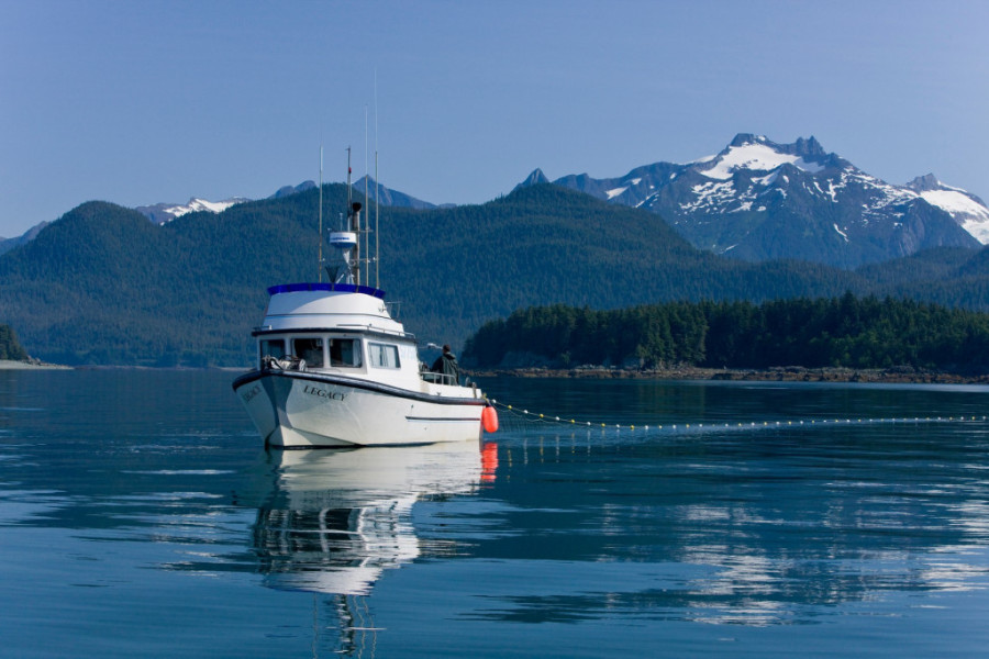 Za samo dva meseca zaradila 10.000 dolara: Priča Vranjanke koja je igrom sudbine završila na Aljasci!