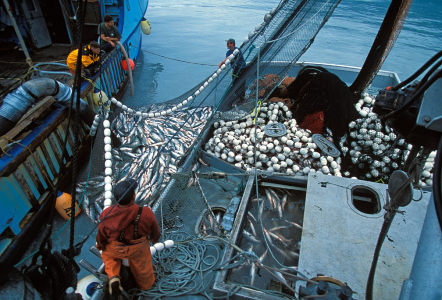 Srbin zaradio 10.000 dolara za 3 meseca, ali se nikada ne bi vratio na Aljasku: U svojoj ispovesti otkriva šta mu je bilo najteže