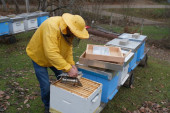 Med iz Srbije najskuplji na svetu: Pčelari su se na jedan način izborili za rekordnu otkupnu cenu!