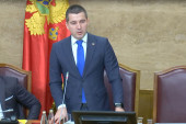 Aleksa Bečić o Spajiću i Milatoviću: "Očigledno imaju razlike u pogledu karaktera buduće izvršne i zakonodavne vlasti"