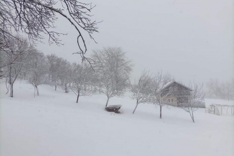 Mećava na Zlatiboru: Sneg veje već dva sata, čiste se putevi, ali se vozačima savetuje oprez! (FOTO)
