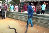Ukrotitelj zmija završio u bolnici kad ga je ujela opasna kobra: Primio čak 65 doza protivotrova (VIDEO)