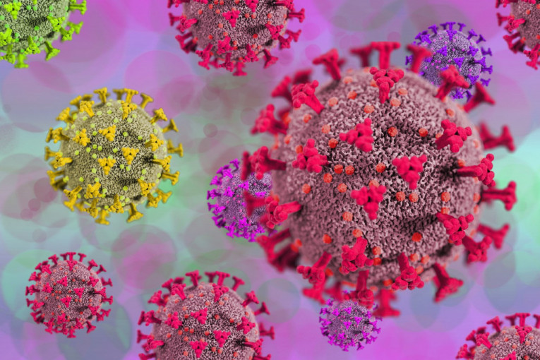 Šta ako se koronavirus i virus Zapadnog Nila spoje? Infektolog upozorio na opasnost koja preti od ovih bolesti!