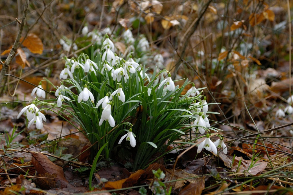 Čeka nas vremenska klackalica: Sa prolećnih 20 stepeni, idemo u debeli minus!