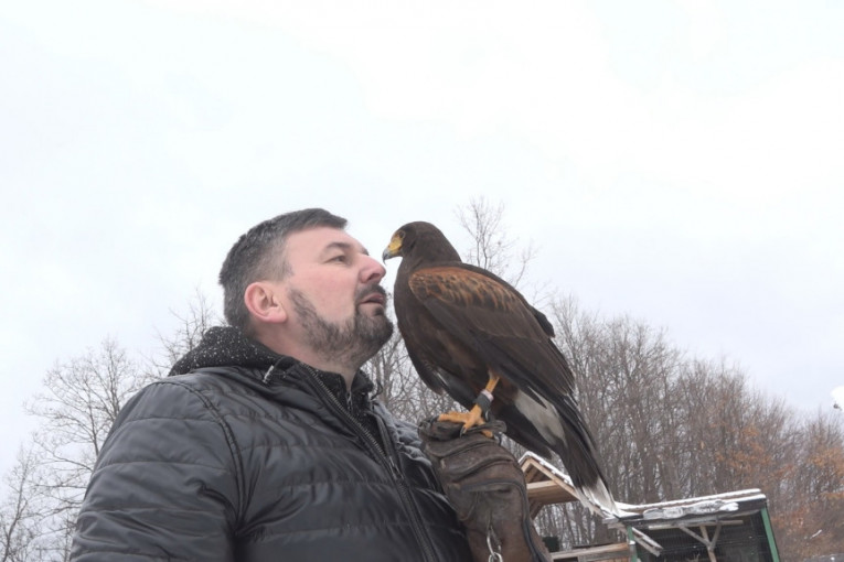 Vladimir je uspeo da pripitomi opasnu pticu grabljivicu: Pogledajte kako izgleda srpski "leteći vuk" (FOTO)