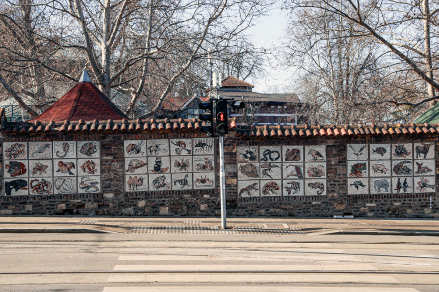 "Hajde, Sami, idemo kući": Priča o najpoznatijem beogradskom "odmetniku" koji se u starom "kecu" vozio kroz Beograd (FOTO)