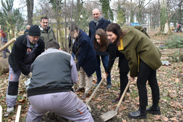 Ministarka Vujović u akciji sadnje drveća u Temerinu: Nastavljamo sa pošumljavanjem Srbije (FOTO)