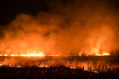Požar u Malom Ritu: Goreli trava i nisko rastinje, šest vatrogasaca se borilo sa plamenom!
