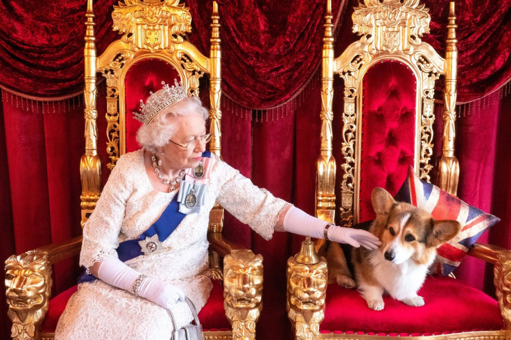 Gde god se okreneš - korgi: Platinasti jubilej kraljice Elizabete slavi se i u znaku njenih omiljenih pasa