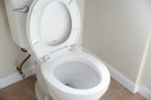 Trik koji će vas oduševiti: Ubacite beli luk u WC šolju i ostavite da prenoći