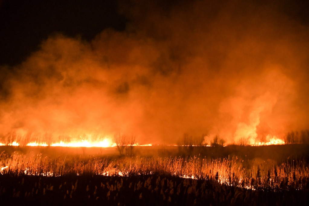 Izbio novi požar u Futogu: Gorela trska u ribnjaku! (VIDEO)