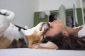 Kako pas kaže „volim te“: Prepoznajte male signale ljubavi i odanosti vašeg kućnog ljubimca