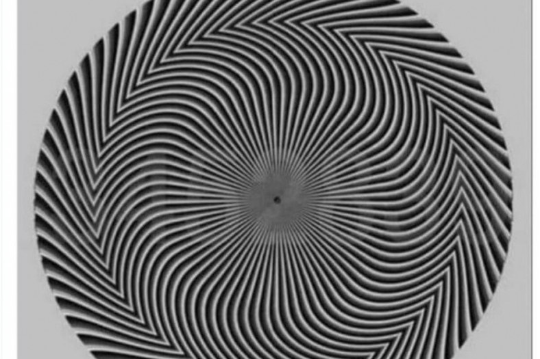 Optička iluzija zbunila društvene mreže: Koji broj vidite na ilustraciji?